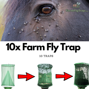 Farm Fly Trap