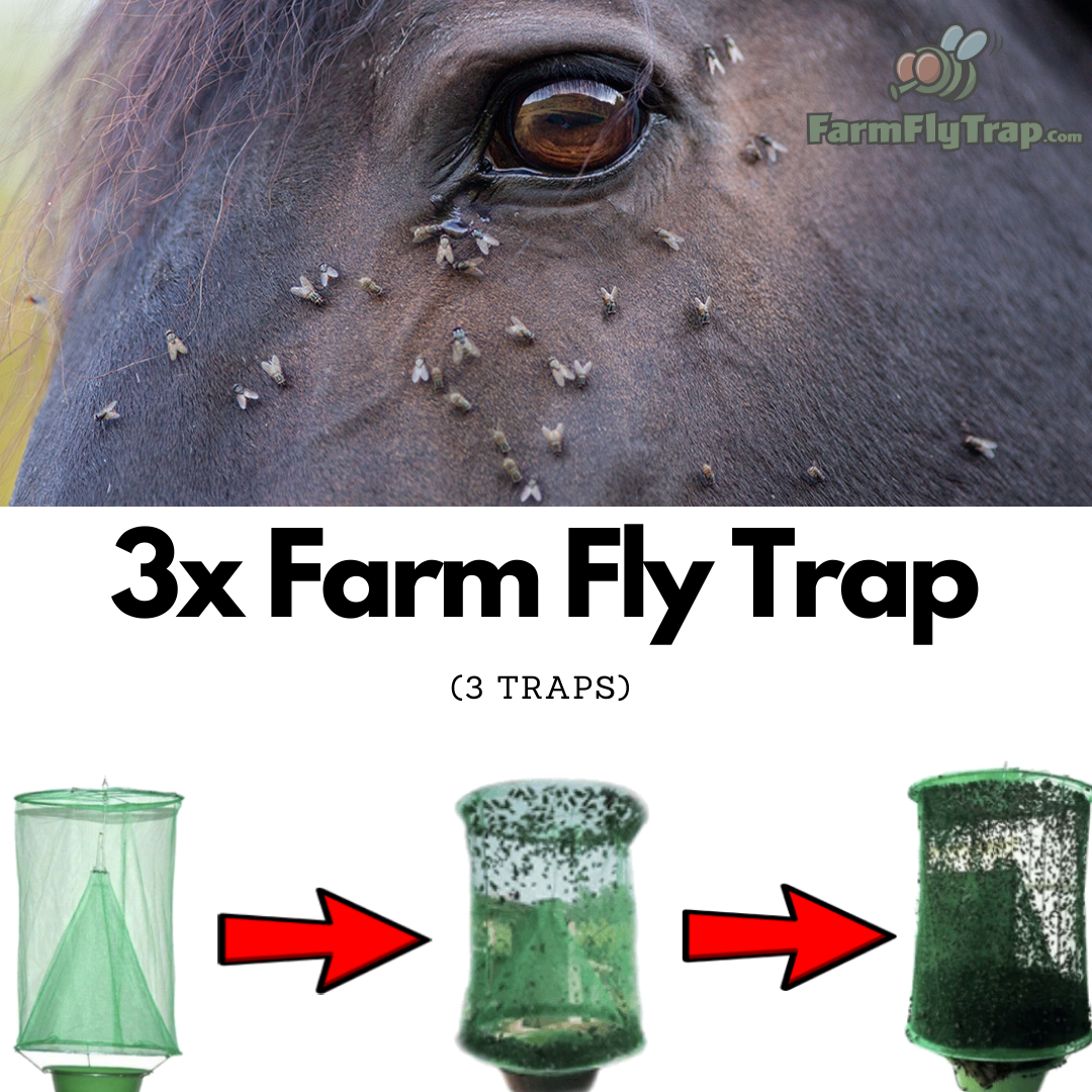 Fly trap deals farm