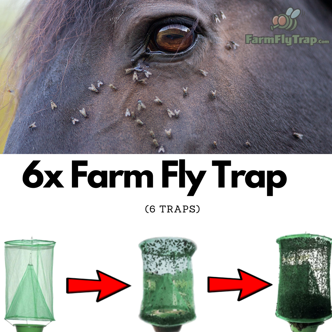 Farm Fly Trap